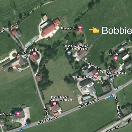 Bobbies Nest Villa Schladming Luaran gambar