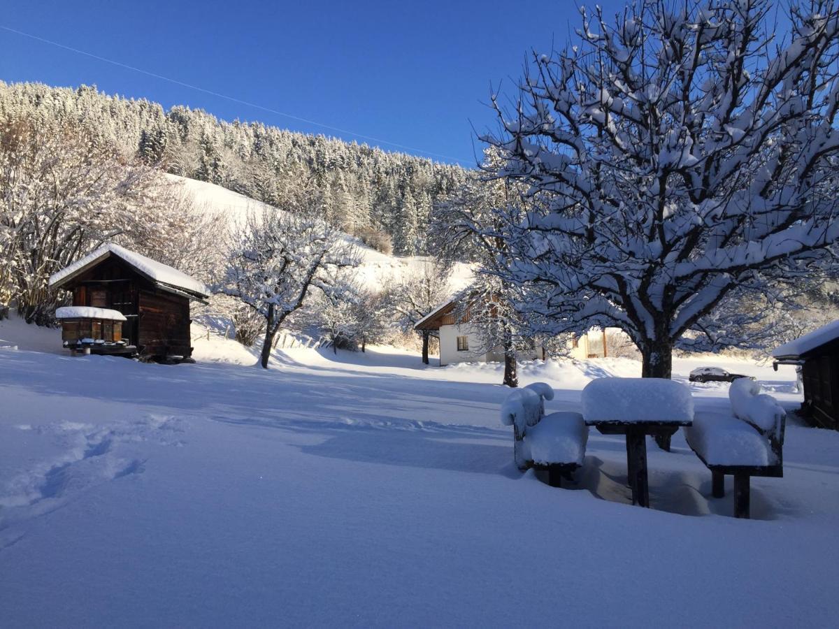 Bobbies Nest Villa Schladming Luaran gambar