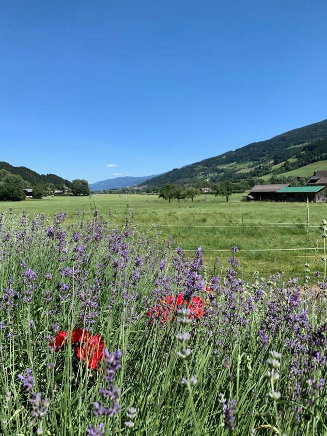 Bobbies Nest Villa Schladming Luaran gambar