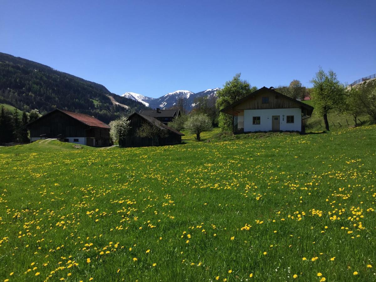 Bobbies Nest Villa Schladming Luaran gambar