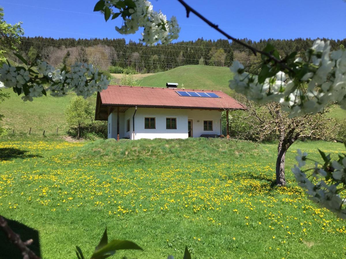 Bobbies Nest Villa Schladming Luaran gambar